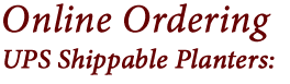 UPS Shippabler Planters Availablt to be Purchased online.