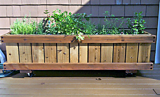 2 x 4 rolling planter with rhubarb and strawberries